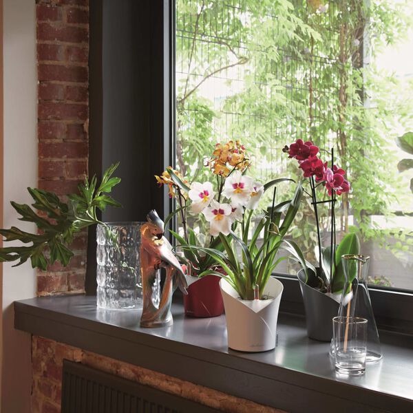 LECHUZA Jardini&egrave;re ORCHIDEA ALL-IN-ONE Ardoise mate