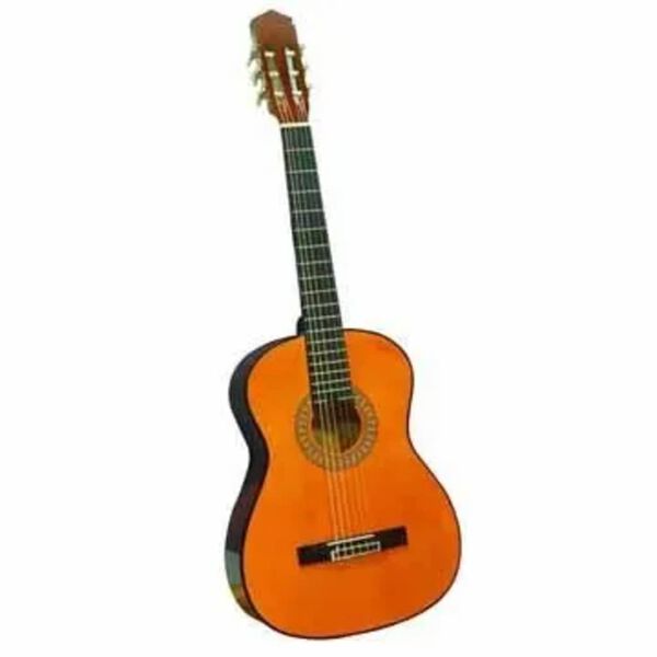 Guitare acoustique 3/4 h&ecirc;tre