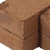 vidaXL Blocs de noix de coco 24 pcs 650 g chacun 15,6 kg au total