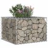 vidaXL Lit sur&eacute;lev&eacute; gabion Argent&eacute; 60 x 60 x 40 cm Acier galvanis&eacute;