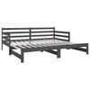 vidaXL Lit coulissant sans matelas gris 2x(80x200)cm