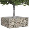 vidaXL Lit sur&eacute;lev&eacute; gabion Argent&eacute; 100 x 100 x 40 cm Acier galvanis&eacute;