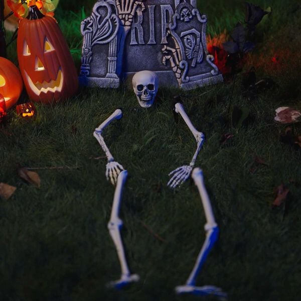 vidaXL Squelette d'Halloween Blanc 45,5 x 13 cm Plastique