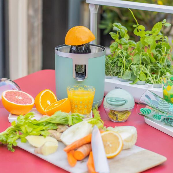 Livoo Presse-agrumes &eacute;lectrique 400 ml 70 W Vert