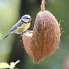 dobar M&eacute;lange de sp&eacute;cialit&eacute; de nourriture pour oiseaux 23 pcs