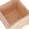 vidaXL Jardini&egrave;res d'ext&eacute;rieur 2 pcs 40x40x40 cm bois de pin massif