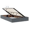 vidaXL Lit de Rangement avec matelas Gris fonc&eacute; 120 x 190 cm Velours