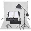 vidaXL Kit de studio photo avec &eacute;clairage et toile de fond
