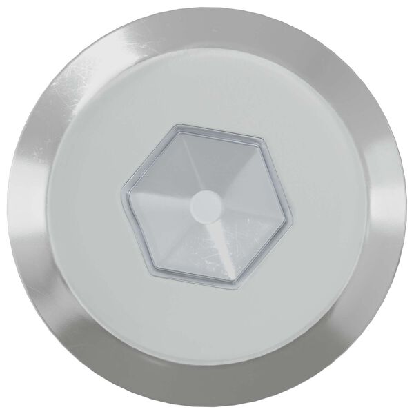 vidaXL Vis pour meubles 2 pcs Argent&eacute; M6 x 60 mm Acier