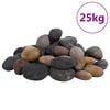 vidaXL Galets polis 25 kg multicolores 5-8 cm