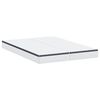 vidaXL Matelas 2 pcs Blanc et Gris 80 x 200 cm Printemps Bonell