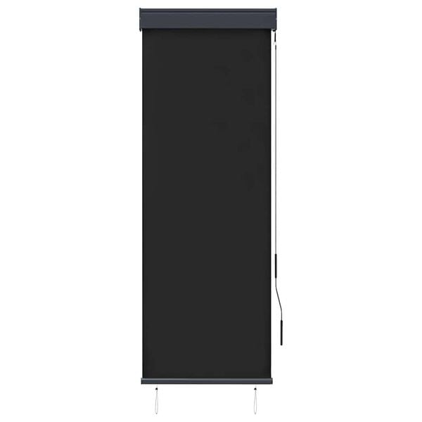 vidaXL Store roulant d'ext&eacute;rieur 60 x 250 cm Anthracite