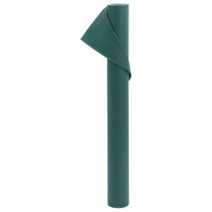 vidaXL Toison v&eacute;g&eacute;tale 70 g/m&sup2; 10x1,6 m