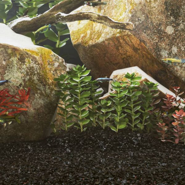 Affichage de l&rsquo;image produit 2 sur 5