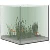 vidaXL Aquarium avec stockage Transparent 30 x 30 x 30 cm Verre