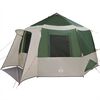 vidaXL Tente Cabane avec toit Vert et blanc 405 x 405 x 273 cm