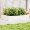 vidaXL Jardini&egrave;re blanc 110x110x23 cm bois de pin massif
