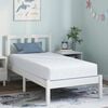 vidaXL Matelas Blanc et Bleu 80 x 160 cm Tissu jacquard