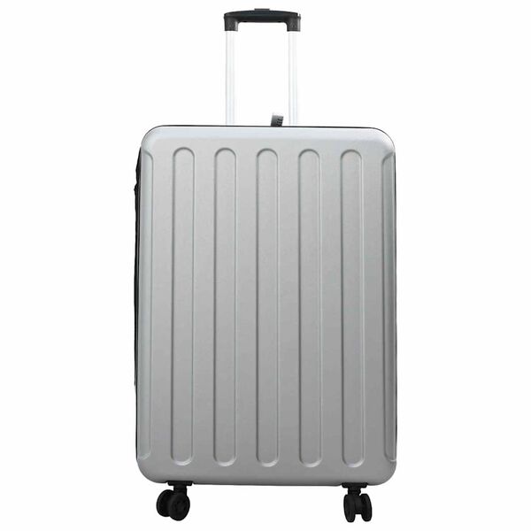 vidaXL Valise avec verrouillage Argent 50 x 30 x 76 cm Plastic ABS