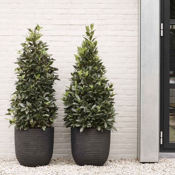 Capi Jardini&egrave;re Nature Row 35 x 34 cm Noir PKBLRO932