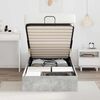 vidaXL Cadre de lit ottoman avec stockage Gris b&eacute;ton 193 x 120 x 25 cm