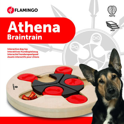 FLAMINGO Jouet d'entraînement cérébral Athena 25 cm Bois