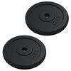 vidaXL Plaque de poids 40 kg Fonte