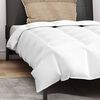 vidaXL Duvet d'été simple avec oreiller 2 pcs Blanc Plume de canard
