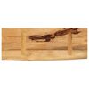 vidaXL Dessus de table 80x20x3,8 cm bord vif bois massif manguier brut