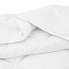 vidaXL Couette avec Oreillers 3 pcs Blanc Microfibre et Plumes D'oie