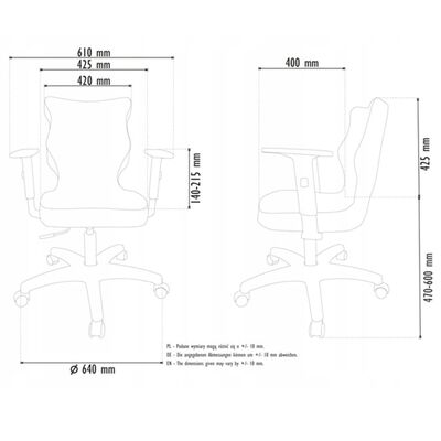 Entelo Chaise ergonomique pour enfants Duo Black Jasmine 01 Noir