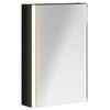 vidaXL Armoire Miroir de Salle de Bain Ch&ecirc;ne noir 33 x 11,5 x 50 cm