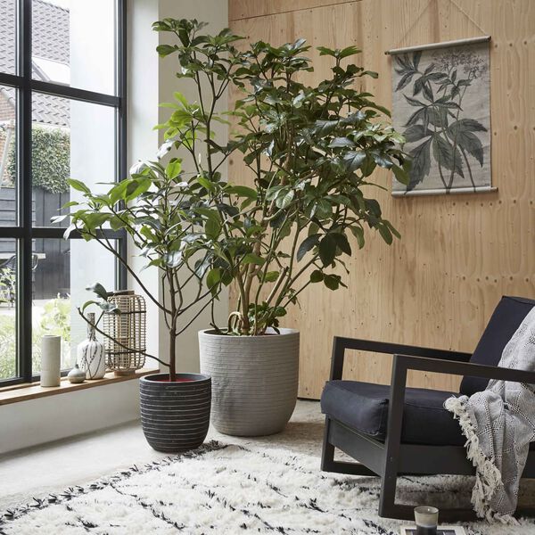 Capi Jardini&egrave;re Nature Row 35x34 cm anthracite KRWZ932