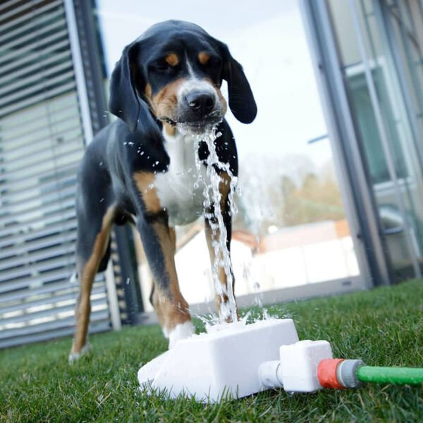 Kerbl Fontaine d'eau Bubble 25,5x18x8 cm Blanc et bleu