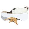 MyKotty Griffoir pour chats VIGO 71 x 25 x 21 cm Blanc 3084