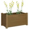 vidaXL Jardini&egrave;re d'ext&eacute;rieur Marron miel 60x31x31 cm Bois de pin