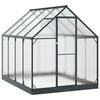 vidaXL Serre de jardin avec porte Anthracite 183,5 x 243,5 x 207 cm