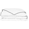 vidaXL Couette en duvet d'hiver 200 x 220 cm