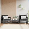 vidaXL Chaises de jardin lot de 2 gris bois massif de pin