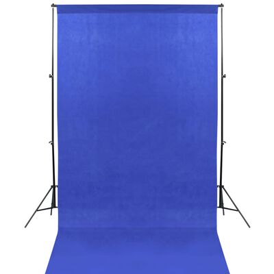 vidaXL Kit de studio photo avec toile de fond et boîte à lumière