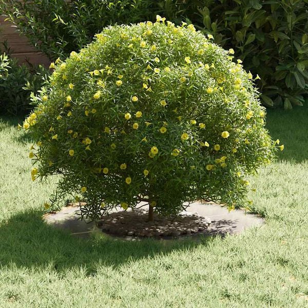 vidaXL adapté pour anneau d'arbre plat Argent Ø30 / 60 cm