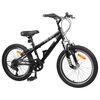 vidaXL Kids Mountain Bike 20 Pouces 6-Speed pour 5-8 ans Noir