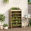 vidaXL Jardini&egrave;re de plantes aromatiques 6 niveaux bois pin impr&eacute;gn&eacute;