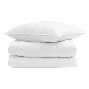 vidaXL Duvet d'hiver avec oreiller 2 pcs Blanc Plume de canard
