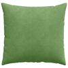 vidaXL Coussins de canapé 2 pcs Vert clair 50 x 50 cm