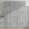 vidaXL Armoire de rangement gris béton 80x42,5x225cm bois d'ingénierie
