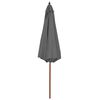 vidaXL Parasol d'ext&eacute;rieur avec m&acirc;t en bois 300 cm anthracite