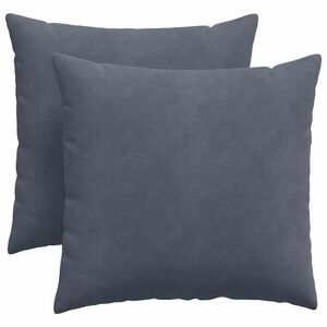 vidaXL Coussins de canap&eacute; 2 pcs Gris fonc&eacute; 45 x 45 cm