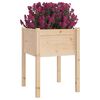 vidaXL Jardinières d'extérieur 2 pcs 50x50x70 cm bois de pin massif