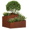 vidaXL Cache-pot de jardin Marron 60 x 60 x 50 cm Acier patin&eacute;